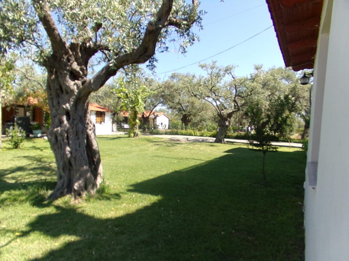 Villa Karapataki Skala Rachoni  Quarto foto